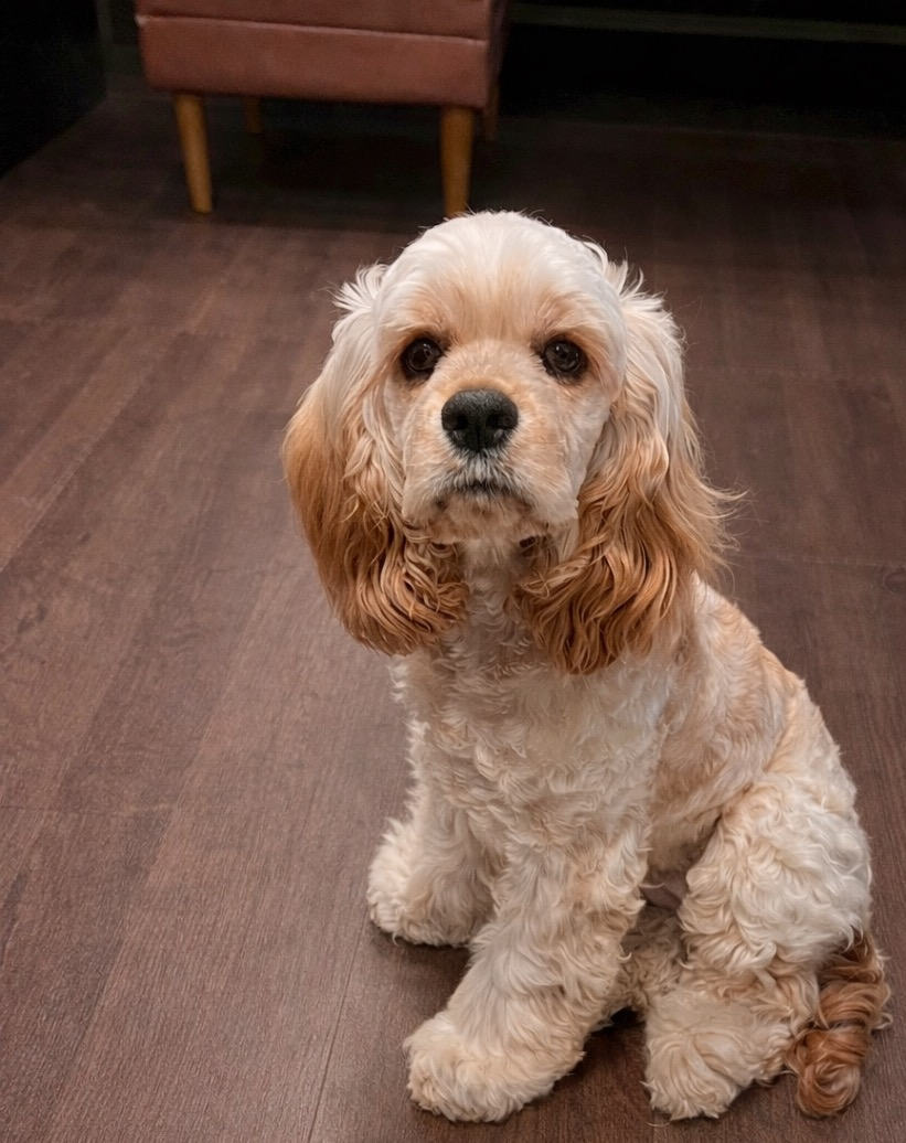 『初めて』の･･･