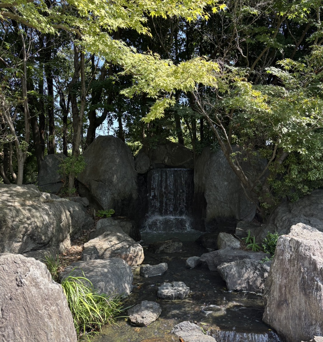 休日のリフレッシュ