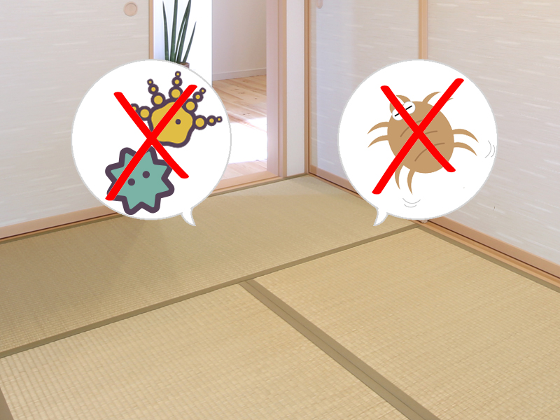 和紙畳はダニやカビを抑える働きがある事を説明した画像