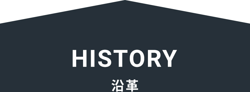 HISTORY 沿革