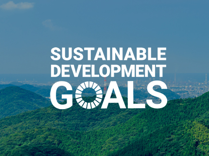 SDGs