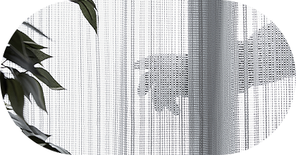 平屋って防犯面がちょっと不安…