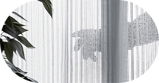 完全自由設計を支える高い住宅性能