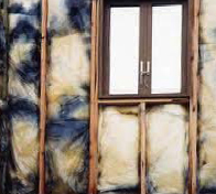 築5年で断熱材にカビが発生