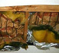 断熱材の内側にカビが大量発生