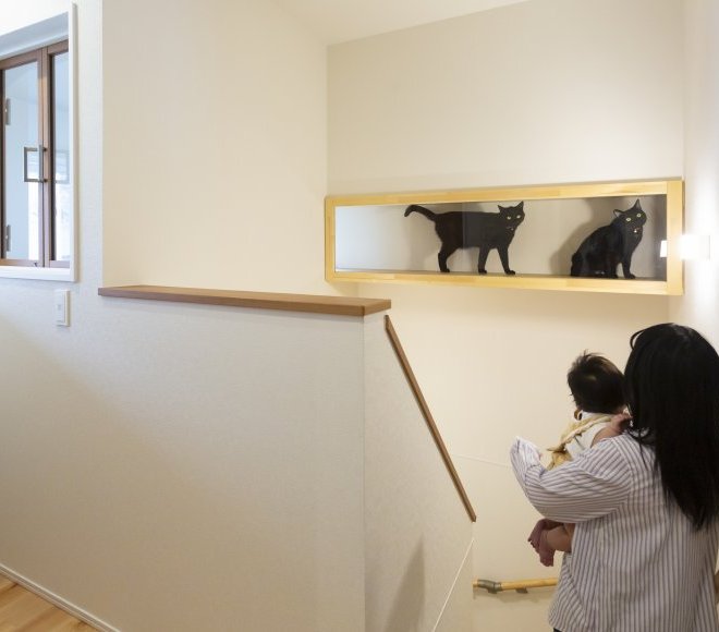 この家で一番長い時間を過ごす猫たちが、ストレスフリーで暮らせる家を希望