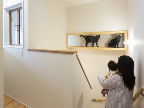 愛猫家必見!キャットウォークやトンネル、ネコちゃんファーストで、快適なおうち時間を叶えた住まい
