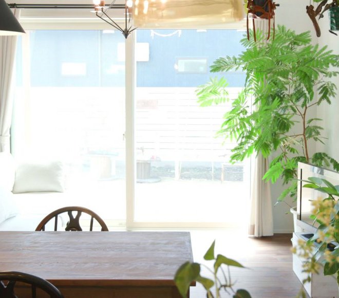 アトリエを兼ね備えたナチュラルテイストの平屋