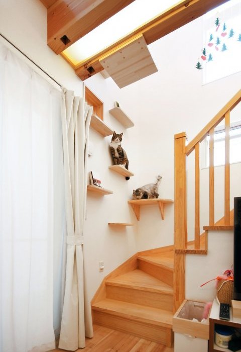 愛猫も喜ぶ「ネコさま仕様」の住まい