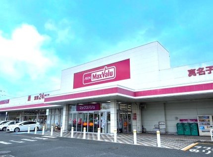 マックスバリュ真名子店