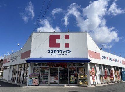 ココカラファイン田村店