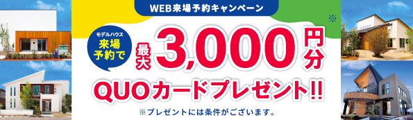 キャンペーン